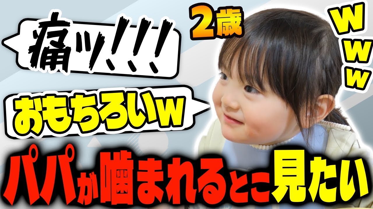 パパが猫に噛まれるのが面白くて仕方がないしずく【2歳】