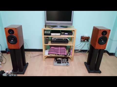 Amp Kt66+DAC ES9018 Ch 1