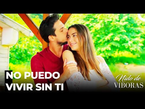 Los Hielos Entre Ejder Y Nagme Se Rompió - Nido De Víboras