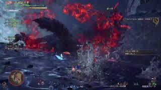 (声あり) モンスターハンターワイルズ　PS5　コメント歓迎です