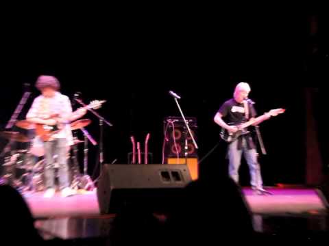 Life Support- Dark Blue Almost Black