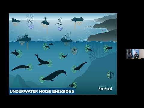 frame del video: 11 - l-importanza-di-utilizzar..., visibile all'interno del canale youtube di arpa fvg