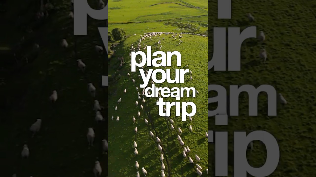 Outlook Money Reel 06