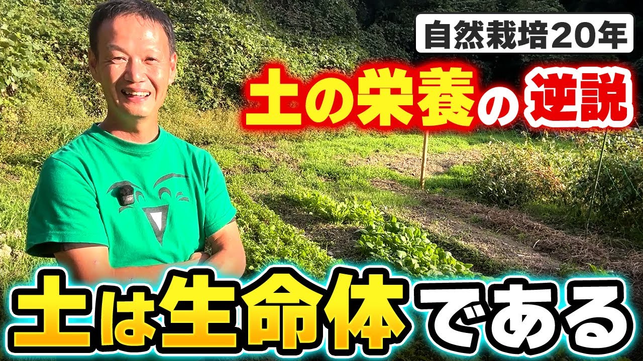自然農法で野菜が育つ3つの基本