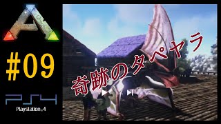 実況 タペヤラテイム・・・諦めかけたその時！【Ark Survival Evolved】【Season1part9】【公式PVE】PS4