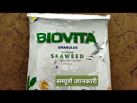 Biovita X Seaweed Extract Granules, Bag, 5 kg