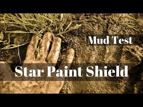 Star Paint Shield- Transparent Anti-graffiti Coating For All Painted Or Coated Surface