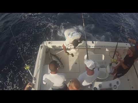 Pêche au Thon, Îles Canaries