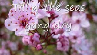 O My Luve&#39;s Like a Red Red Rose