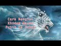 Cara Mengisi Khodam Macan Putih Ke Tubuh Secara Praktis