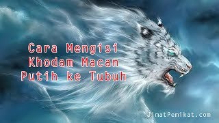 Download lagu Cara Mengisi Khodam Macan Putih Ke Tubuh Secara Praktis mp3