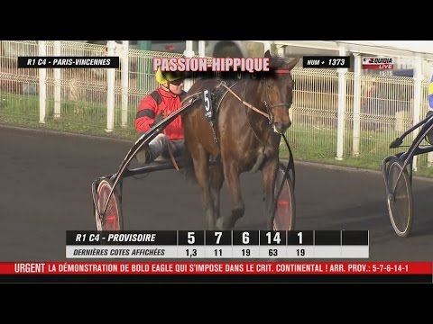 BOLD EAGLE - VINCENNES - CRITÉRIUM CONTINENTAL 2015