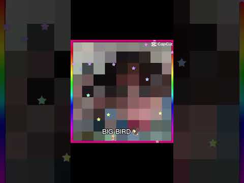 BIG BIRD #straykidsedit #kpopgroup #skz #vsps #boyband #kpop #kpopskz #straykids #roblox