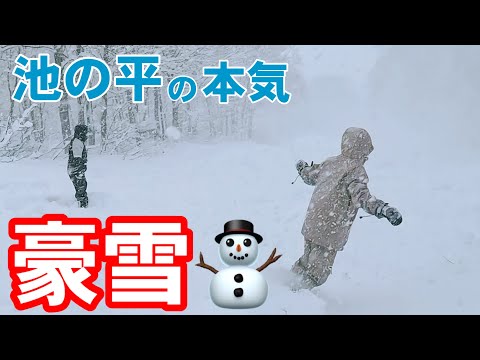 【豪雪⛄】池の平の本気