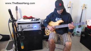 Video thumbnail for DNA DNS 210 Overview; Basses used-Sterling Ray 35, Lakland 4-94 by The Bass Hang