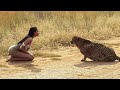 EMOTIVOS REENCUENTROS DE ANIMALES CON SUS DUEÑOS DESPUÉS DE AÑOS DEFAULT Thumbnail