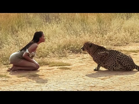 Emotional reunions of animals with their owners after years