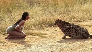 EMOTIVOS REENCUENTROS DE ANIMALES CON SUS DUEÑOS DESPUÉS DE AÑOS MQDEFAULT Thumbnail
