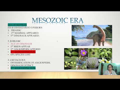 GEOLOGICAL TIMESCALE