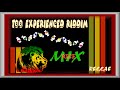 TOO EXPERIENCED RIDDIM RISE MIX