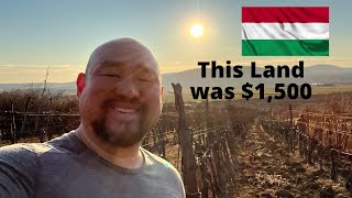 Hungarian Countryside! $1,500 Vineyard and Wine! 🇭🇺
