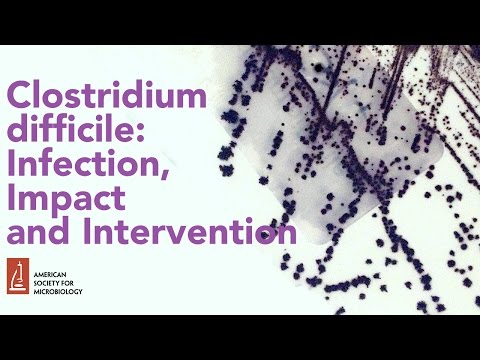 Clostridium difficile: Infection, Impact and Intervention by Michael Miller, PhD