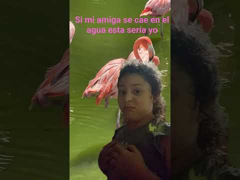 9 de febrero de 2026