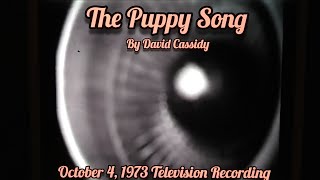 "The Puppy Song"by David Cassidy