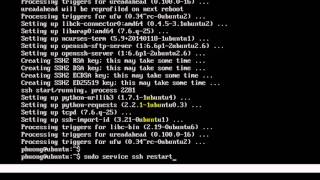 Download the video "How to install OpenSSH Server in Ubuntu Server 14.04 and Remotely via Putty"