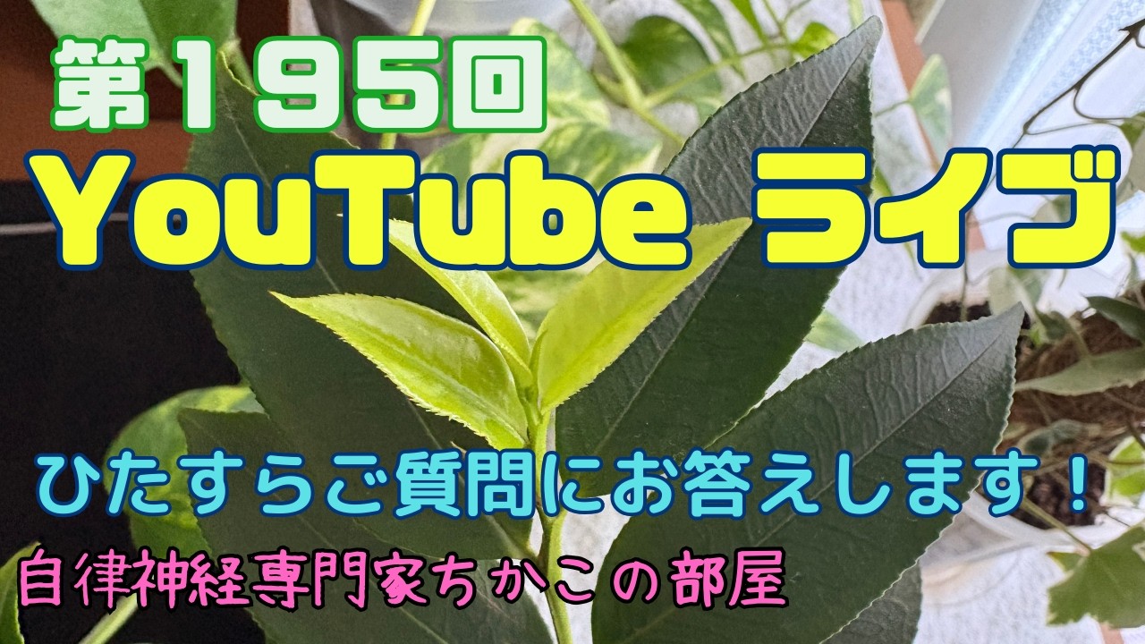 第１９５回ちかこの部屋YouTubeライブ！ひたすらご質問にお答えします！