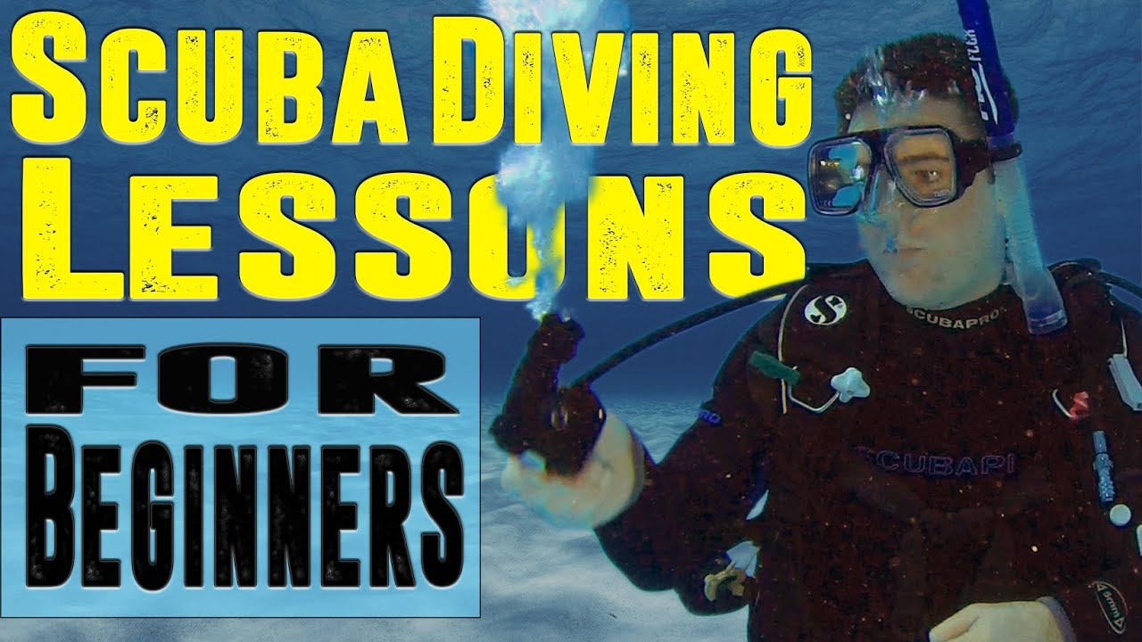 🤿 Did you know there are over 30,000 reefs in Australia? Here’s how I started diving!