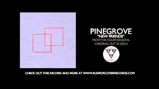 Pinegrove - New Friends