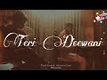 Kailash kher song - Teri deewani Instrumental | guitar cover |