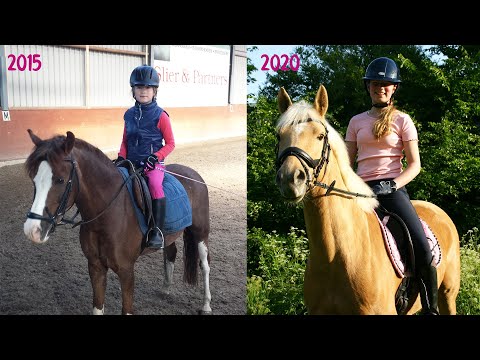 Learning to ride a horse: what you can achieve in 5 years * Heart for Horses *
