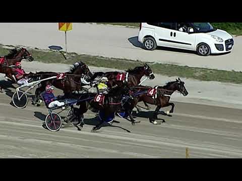 Aversa trotto 30 Settembre 2020 - 2° Corsa