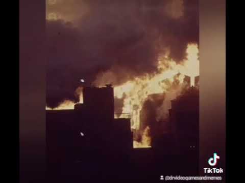 The Goose Is Loose (Super Unofficial Music Video) #tiktok #thegooseisloose #shorts #memes #goose