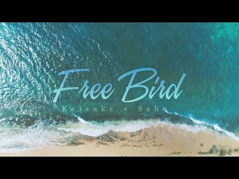 Free Bird – Crazywedding – Hawaii
