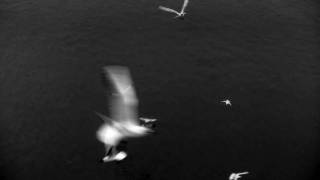 Boreas Music Video