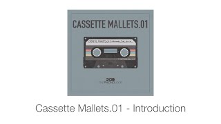 Video thumbnail for TPL | Cassette Mallets.01 - Introduction by THEPHONOLOOP Samples