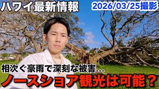 【ハワイ最新情報】今は行かない方がいい?過去20年で最悪の豪雨がもたらした被害を現地からお伝えします