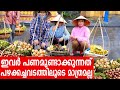 Sancharam By Santhosh George Kulangara Vietnam 04 Safari TV