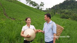 Mai's rice field so amazing after one month of planting. Robert | Green forest life