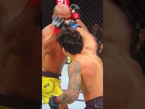 Alexandre Pantoja knocks out Wilson Reis with a viscous straight right hand