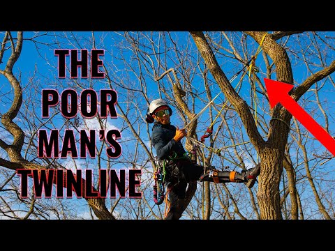 Tree Climbing Technique: The Poor Man’s TwinLine Anchor