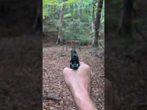 Walther WMP First Mag Review - German-Engineered .22 Magnum Pistol.