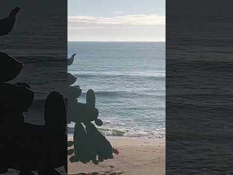 Praia do quilombo penha sc