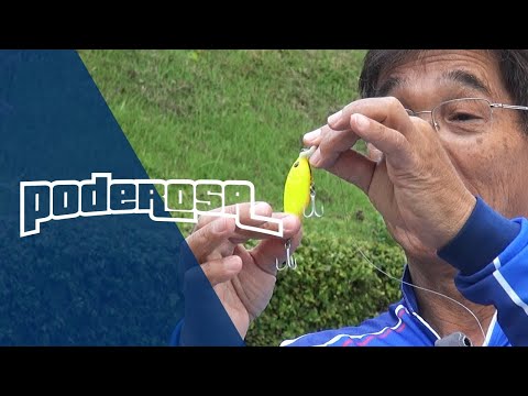 Vídeo Isca Nelson Nakamura Poderosa 70
