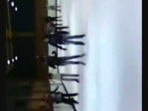 el lago de los gansos villaverde