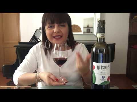 Il Grisone - Valtellina Superiore Sassella di Alfio Mozzi