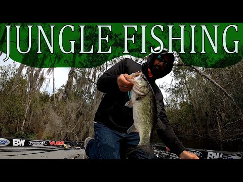 Fishing the Jungle in Florida on the Harris Chain